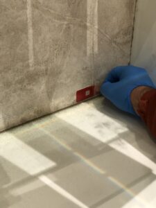 Houston Mold Inspector