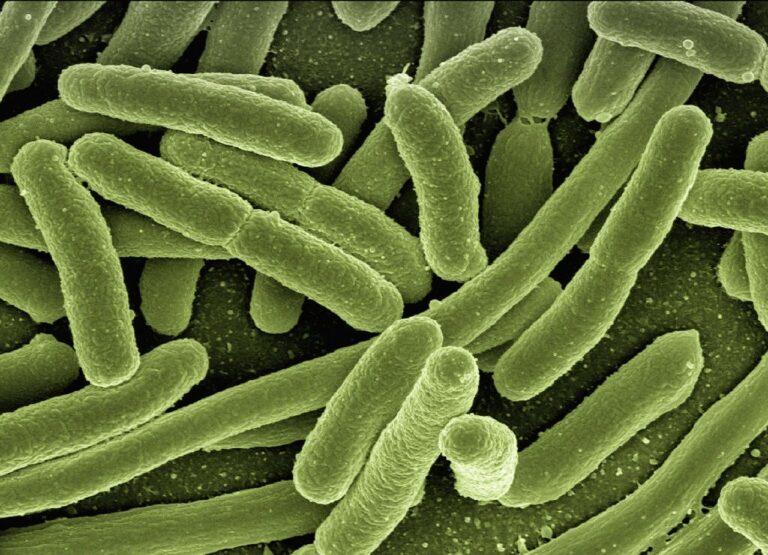 bacteria-sampling-houston