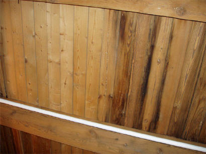 mold-inspection-houston