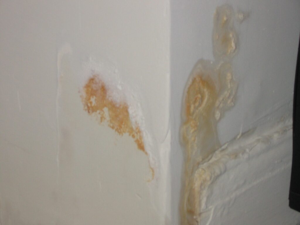 mold-removal-houston