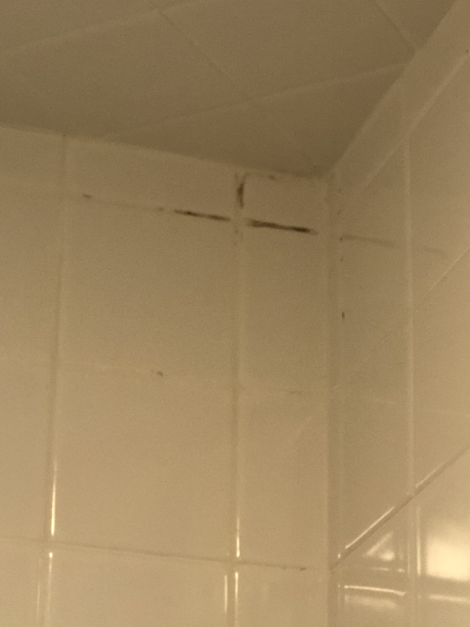 mold-in-shower-stall