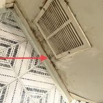 Mold-Inspection-Houston