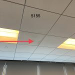 mold-inspection-league-city