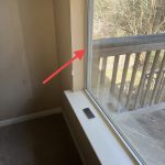 mold-inspection-houston